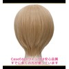 CaseEden 6008 Premium Cosplay Wig, Smooth, Short Hair, Light Brown,