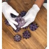 Raw Large Dark Purple Amethyst Cluster Crystal Geode Specimen Collection