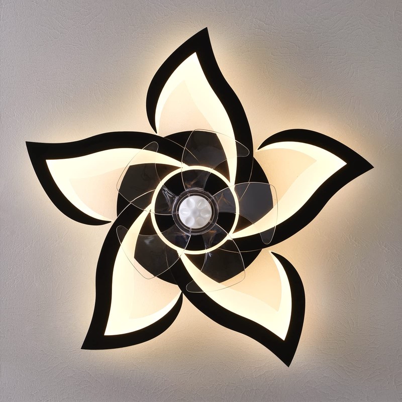 HuixuTe 24" Ceiling Fan with Lights Remote Control, 6 Speeds
