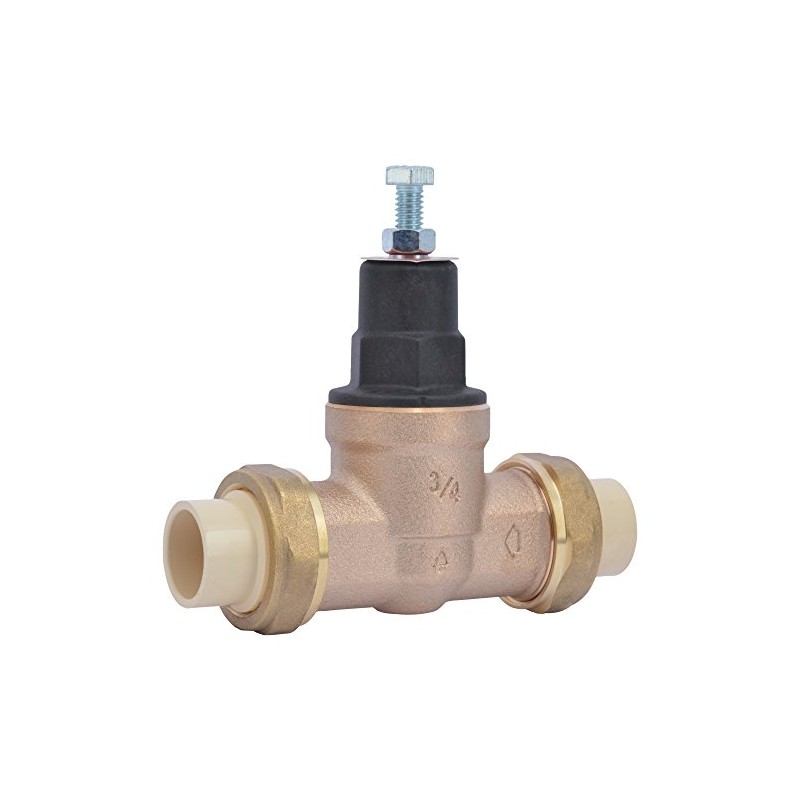 Cash Acme EB45 Pressure Regulating Valve, Double Union, 3/4 Inch