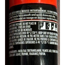 Gillette (4-Pk) Gillette ~ FOAMY Quick Rinse Comfort Glide Formula Regular Shaving Mousse