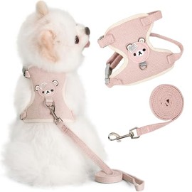 FRANCISCO ArnéS Universal con Correa para Perros y Gatos, ArnéS para Gatos A Prueba de Escapes, ArnéS Ajustable para Perros PequeñOs, Perros Medianos, Malla Suave, Ajuste CóModo, Sin Tirones (Rosa,S)