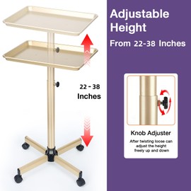 Salon Tray, Champagne Gold Salon Rolling Tray with Adjustable Height, Hair Stylist Tray, Suitable for Tattoo Tray and Dental Tray