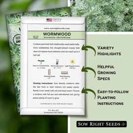 Sow Right Seeds - Wormwood Seeds for Planting - Non-GMO Heirloom Packet with Instructions to Plant & Grow an Outdoor or Indoor Herb Garden - Sagewort Repels Mosquitoes - Medicinal Worm Wood Herb (1)