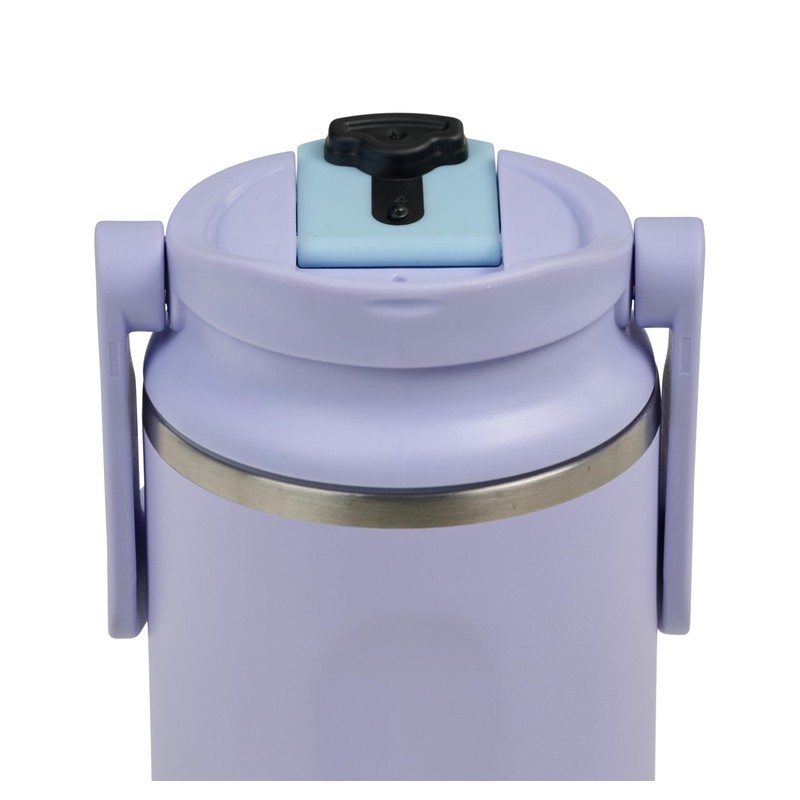 IGLOO Thermos Flask Tumbler 16 Stainless Steel Water Bottle, Purple,