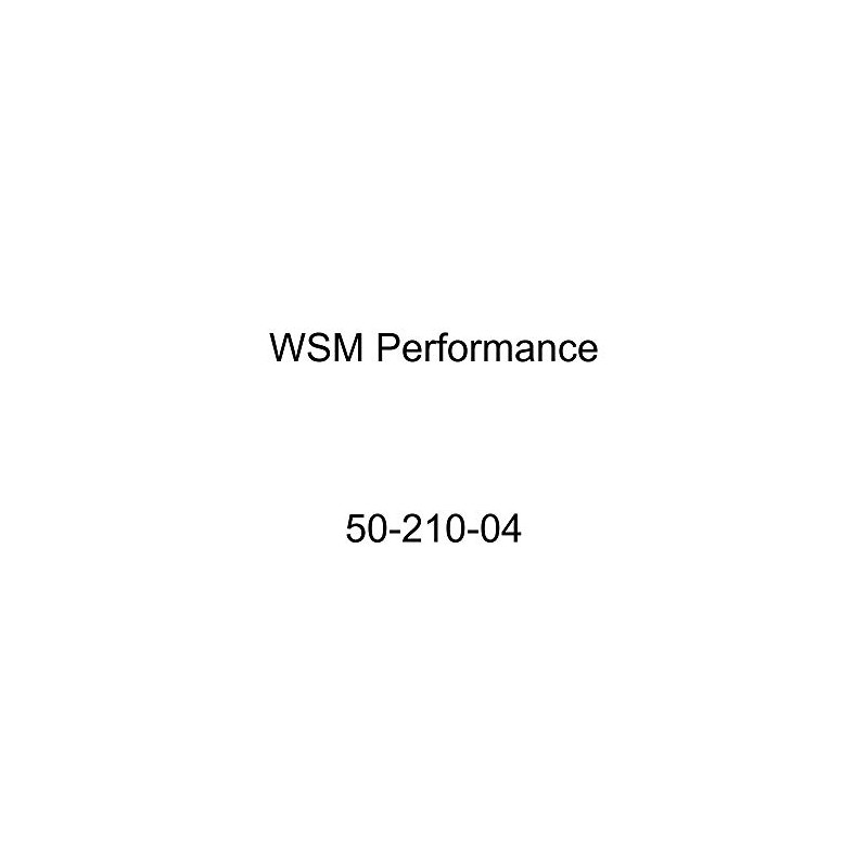 WSM Performance 50-210-04 Piston and Ring Kit