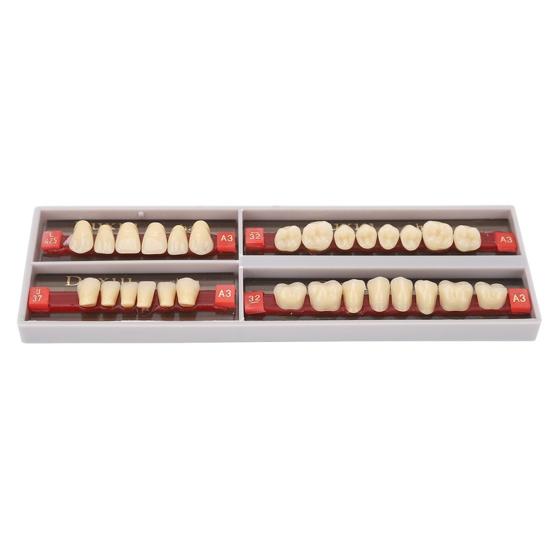 Dental Synthetic Resin Denture Tooth Professional Men Women Shade A3