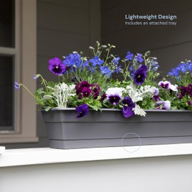 Bloem Dura Cotta Window Box Planter: 24" - Charcoal - with Tray, Weatherproof Resin Box, Removable Tray for Indoor & Outdoor Use, Gardening, 3 Gallon Capacity