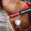 EzyDog Express Dog Harness - Adjustable Dog Harness for Large,