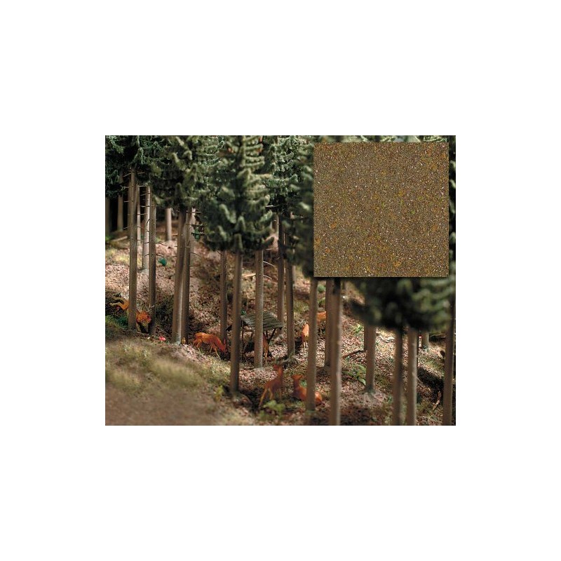 Deciduous Forest Ground