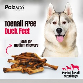 Palz&Co Duck Feet for Dogs - 10 Pack of 100% Natural Single Ingredient Dog Treats, Grain-Free, High Protein, Nail Free, Crunchy & Chewy Texture