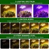 KEELIXIN 5 Head Spectrum Grow Light with Adjustable Stand and