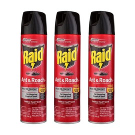 Raid Ant and Roach Kills on Contact No Lingering Chemical Odor Outdoor Fresh Scent 12 Oz (Pack of 3)