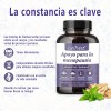 Gwynne Suplemento Menopausia Mujeres Cáps Cápsulas Equilibrio Hormona Femenina Sudores