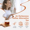 Fake Coffee, 10 ct teabags