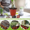 100 Packs 8" Plant Nursery Pots Plastic Seedling Starter pot