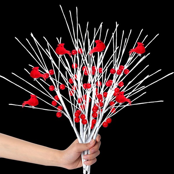 Thiccywoov 6 Pcs 18'' Large White Birch Branches with Red