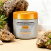 Guam, Algae fango for stubborn cellulite, against cellulite and free