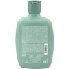 Alfaparf Milano Sdl scalp renew energizing shampoo