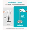 Brushed Nickel Toilet Paper Holder Stand, 4.82 lb Weighted Base,