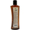 Arbol Verde Shampoo Natural Anticáida con sábila y espinosilla 200
