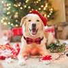 Malier Dog Collar with Bow tie, Classice Plaid Pattern Dog