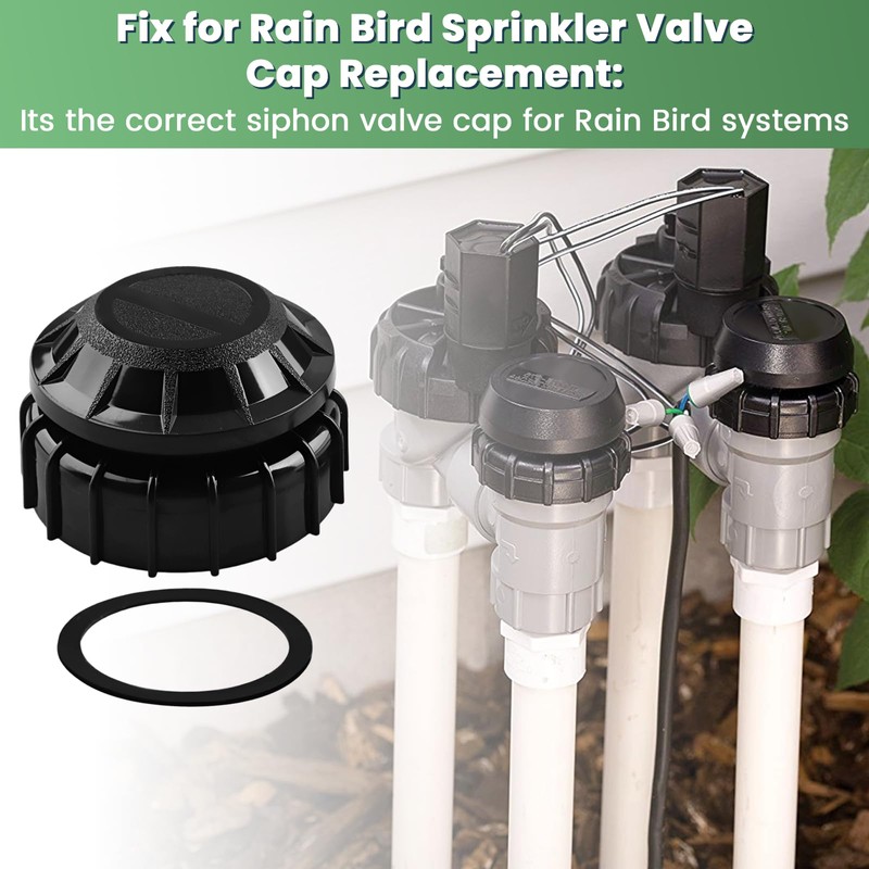 151933 Cap and Cover Assm Kit for Rainbird RPKASVF100 2