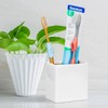 Euro TECH Ultra Fine Bulk Toothbrush - 72 CT (