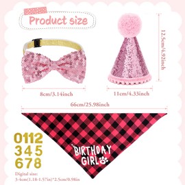 Cat Birthday Hat Bandana Set Cat Party Hat Pink Kitten Party Decorations with Collar Pet Celebration Outfits for Birthdays Christmas