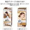 Liese Prettia Bubble Color Hair Dye