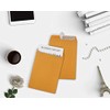 WINPAQ 6 x 9 Self-Seal Brown Kraft Catalog Envelopes -