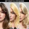 L'Oreal Paris Feria Hyper Platinum Advanced Lightening System Hair Bleach