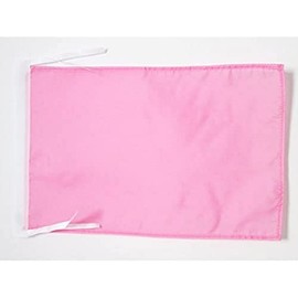 AZ FLAG - Plain Pink Flag 18'' x 12'' cords - Pink Solid color Small flags 30 x 45cm - Banner 18x12 in - Drapeau Unicolore Rose