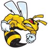 Ski-Doo Angry Bee X Large Decal 24" Fast from The