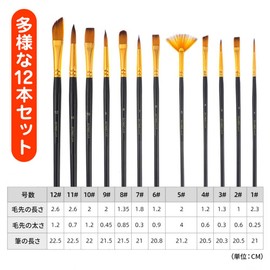 Loveril Paint Brushes Set of 12 Paint Brushes Acrylic Paint Brushes Oil Paintings Watercolor Nylon Bristles with Storage Case Palette Sponge for Professionals Beginners School Art Course Hobby Hobby
