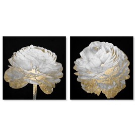 The Oliver Gal Artist Co Botanical Wall Art Canvas Prints 'Light Set' Florals Home Décor, 20x20