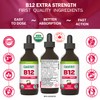 Certified Organic Vitamin B12 5000mcg Drops, Methylcobalamin, 50 Servings –