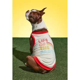 Brass Monkey Life of The Party Dog Tank; Pre-Shrunk Cotton Pet Muscle Tank; Medium (22" Chest); Cute Dog Accessories with Eye-Catching Design