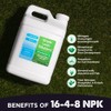Advanced 16-4-8 Lawn Fertilizer - Liquid Lawn Food Spring &