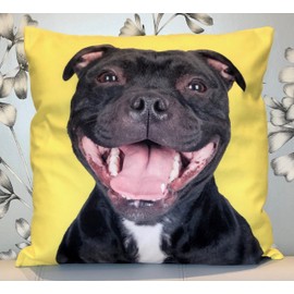 The Beach Stop Decorative Staffordshire Bull Terrier Dog Scatter Cushion Cover | Home Decor Gift Idea for Staffie Lovers | 45x45cm 18x18” | Yellow Staffy