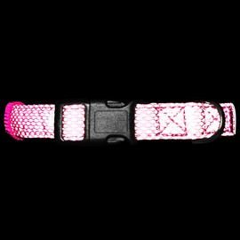 Embark Illuminate Reflective Dog Collar – Made with Reflective Material to Make Your Dog Collar Visible and Light at Night