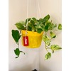 Caldo Two Plant Hangers - Perfect for Indoor or Outdoor