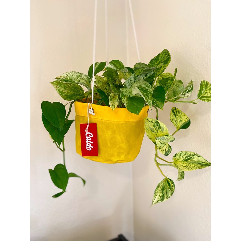 Caldo Two Plant Hangers - Perfect for Indoor or Outdoor