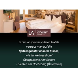 Zollner 114 Set of 2 Microfibre Cushions Various Sizes Washable on a Hot Cycle, 35 x 40 cm