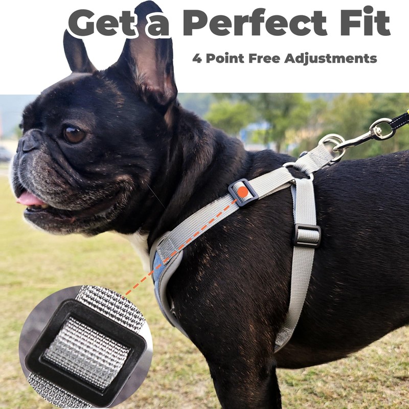 ORYEDA Dog Harness No Pull for Small Size, Easy Walk