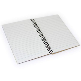 Maruman N670AM Spiral Notebook, A6, Mix