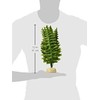 Exo Terra,Reptiles, Amphibians Boston Fern Terrarium Plant, Medium