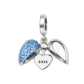 Ruishiqi 925 sterling silver bracelet and necklace pendant December series/Birthstone Charm Bead Women's Jewelry Gift Suitable for Women