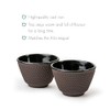 Bredemeijer Cast Iron Enamelled Tea Cups Set of 2 Small