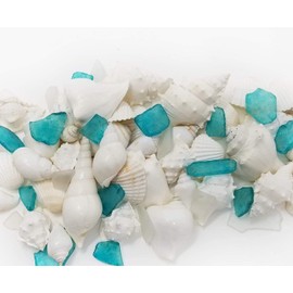 Tumbler Home White Sea Shell Mix with Blue and White Sea Glass | Set Contains 1 1/2 lbs of Shells up to 3 inches Plus Sea Glass| Beach Decor, Crafts, Wedding, Vase Filler